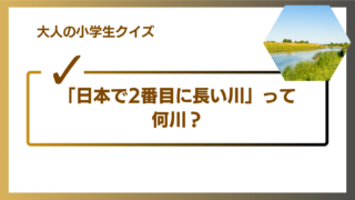 大人の小学生クイズ アイキャッチ