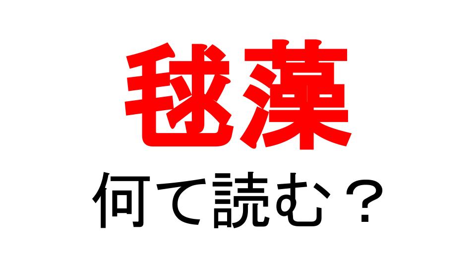 毬藻 は不思議な生きもの お土産で貰ったことがあるかも Do Gen どうげん おうち時間の 元気の源 になる休養メディア