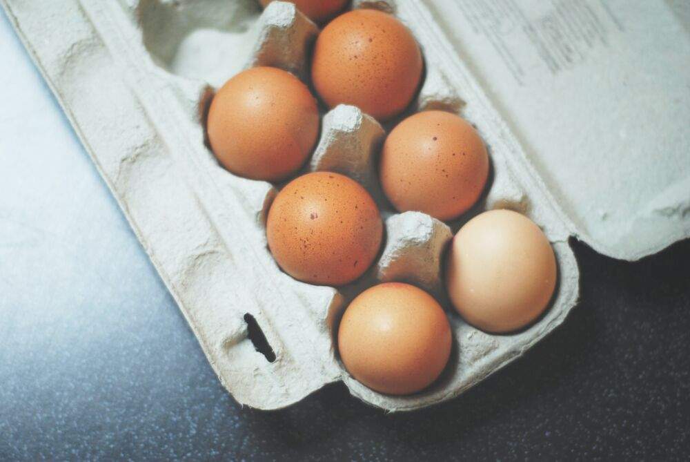 完全栄養食の卵は1日に何個まで食べてOK？