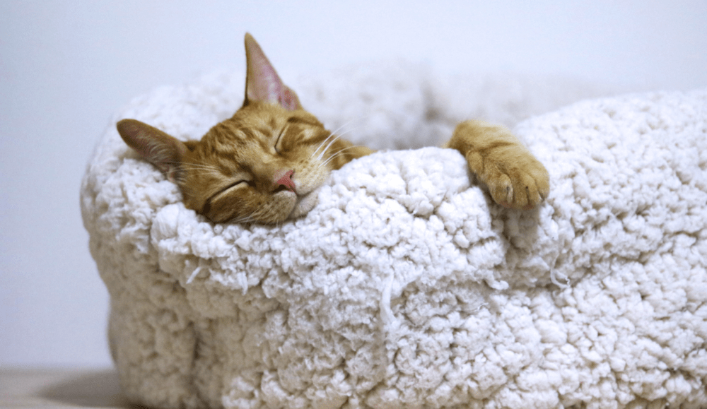 2. 質の良い睡眠休養のための6つのコツ