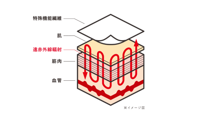 チャンピオン リカバリーウェア 仕組み
